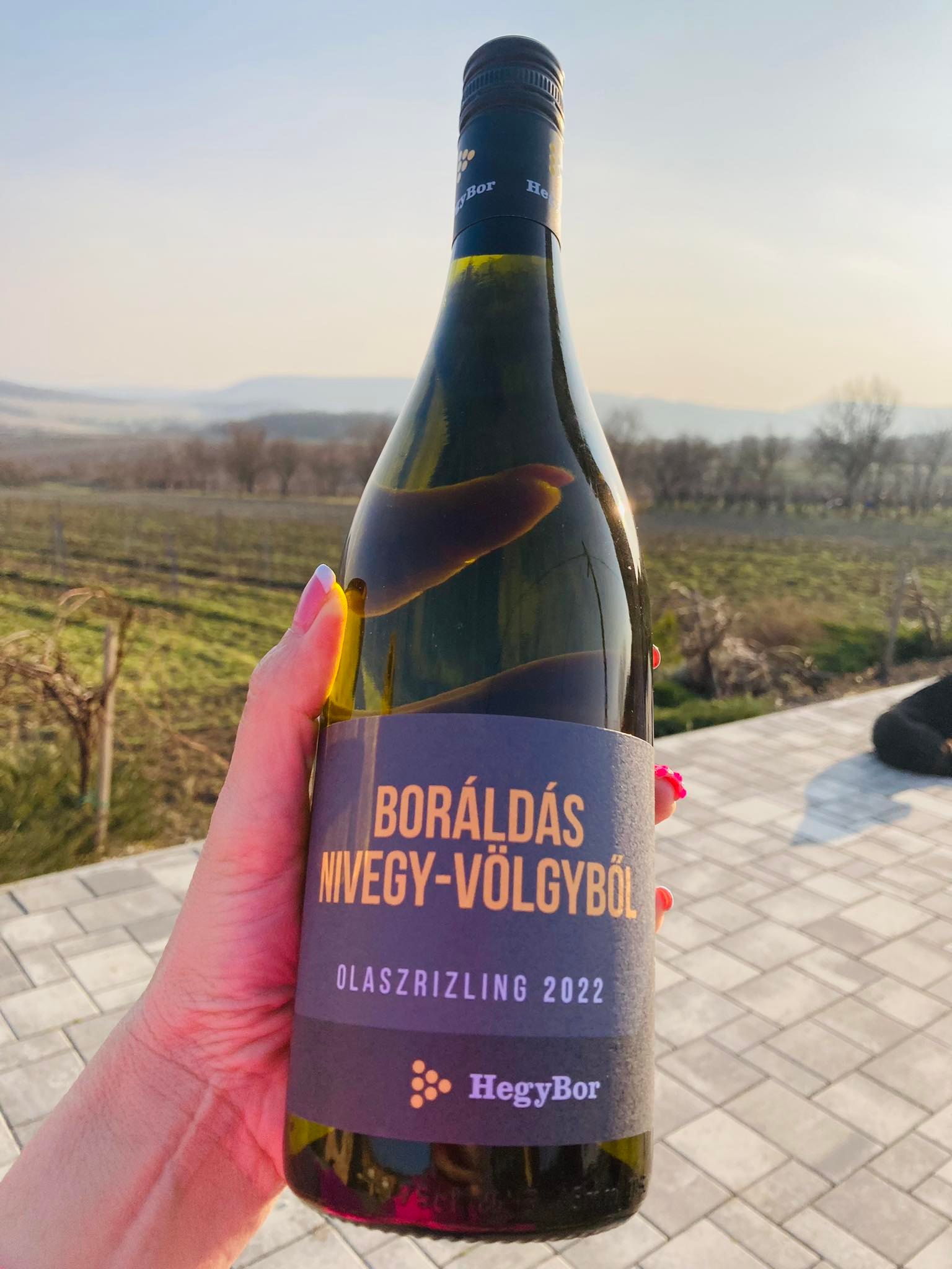 Budavári Liget / Végh Testvérek Borálda